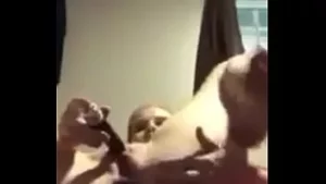 Brodart fahişe megan hufnagle germe ona pislik bölüm 1
