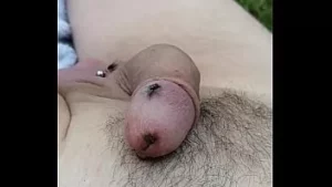 يحب الذباب كل شيء بعد التخلص من مشكلة مزدوجة 13 ملم