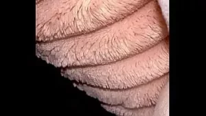 Mr Monster Man po prostu porywa niebieskookiego dzikusa swoim wielkim kutasem